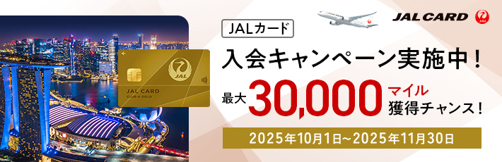 飛行機でスマホやタブレットは使用できる？機内Wi-Fiサービスについても解説