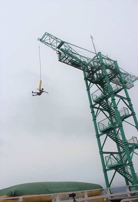 マザー牧場は映えの聖地。はましゃかがイルミ＆ナイト遊園地へ 夜編- びゅうたび