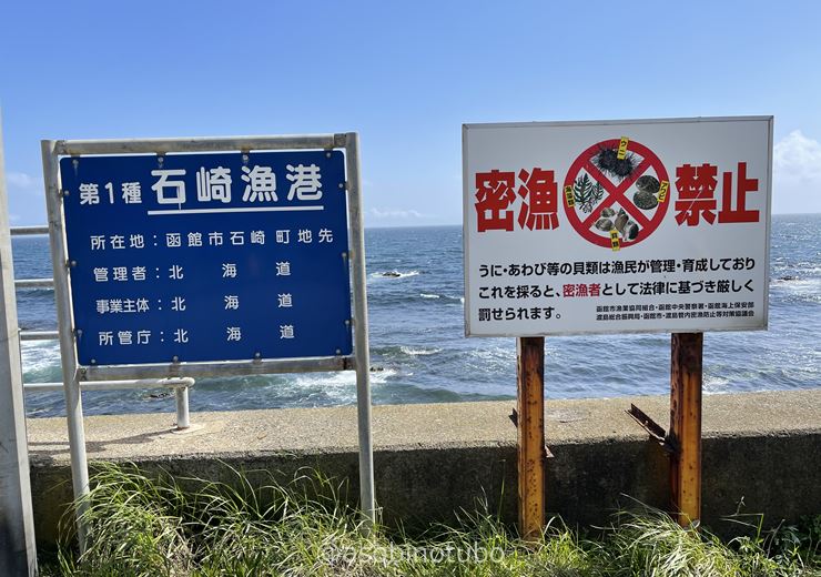 大間漁港のお寿司屋さんで本鮪づくし！勝栄丸ブログ