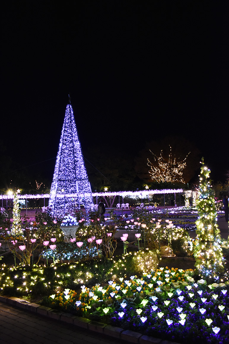 世界が認めた幻想風景！あしかがフラワーパーク「ふじのはな物語2025」へ行こう夜景FANマガジン