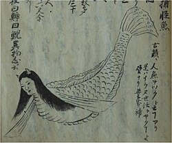 200kg超え ヤリマンボウ。謎に包まれた魚が打ち上げられる。│ルアマガプラス