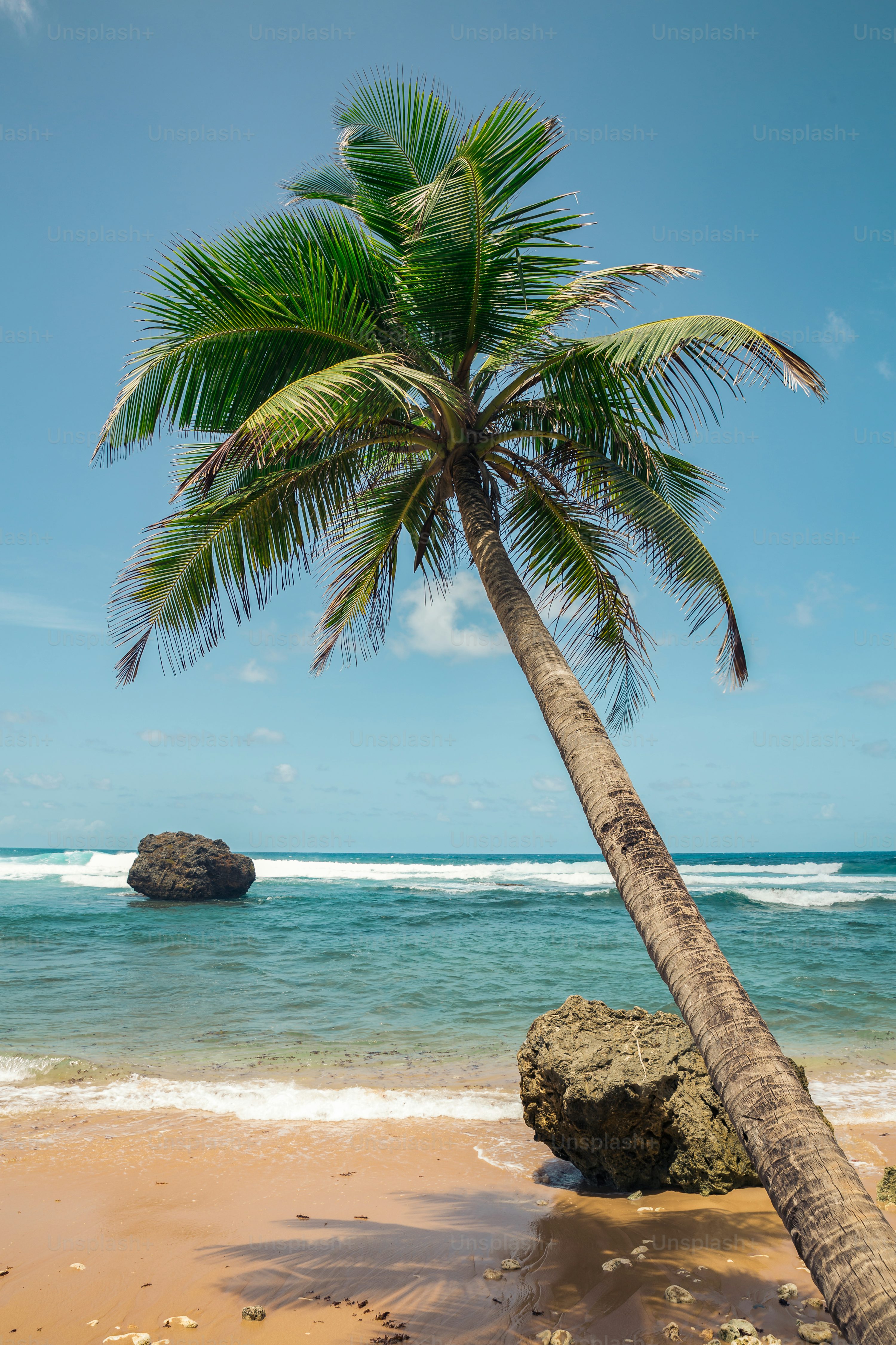 ハワイ在住Kanaのおすすめビーチ3選！アクセス方法やビーチの注意点もご紹介ハワイ旅行に役立つ最新情報が満載「オリオリハワイ」