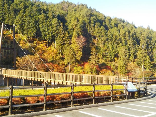 風のつり橋”からも楽しめる紅葉！豊田市の「大井平公園 おおいだいらこうえん 」豊田市の住みやすさを紹介 住む街なび