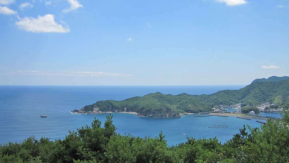 南海展望公園🌊 長い階段を登った先にあるのは絶景展望台！ 展望台から一望できる景色が最高🤩