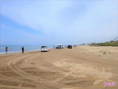日本唯一の砂浜を走る道路、千里浜なぎさドライブウェイとは教えて！おとなの自動車保険