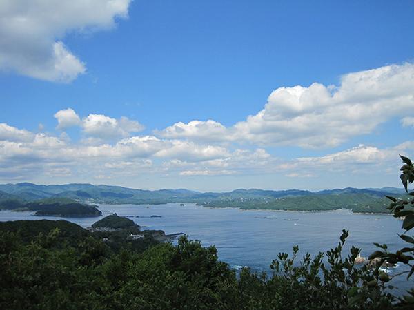 2025年 南海展望公園 - 出発前に知っておくべきことすべて -