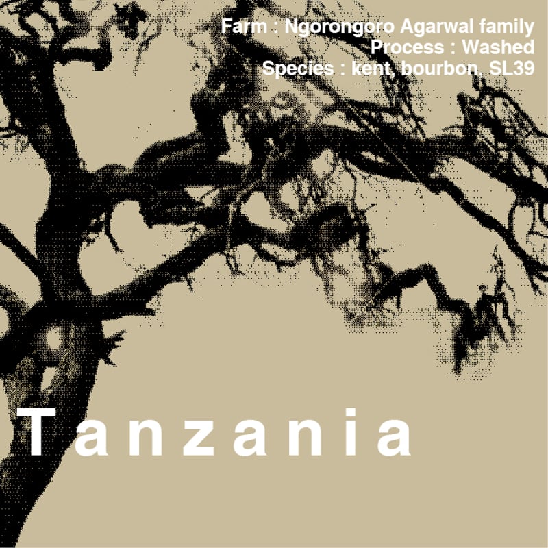 楽天市場 コーヒー 生豆 タンザニア
