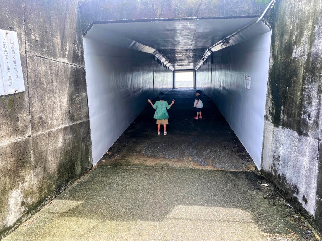 夏の絶景！ニノ浜海岸トンネルの魅力
