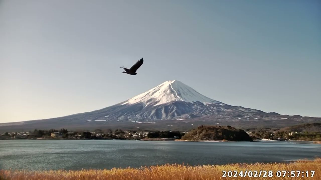 今見える富士山ライブカメラ 富士の国やまなし観光ネット 山梨県公式観光情報