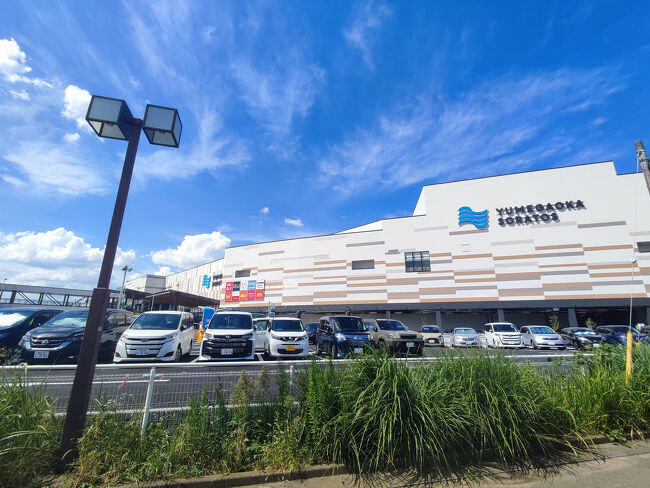 サガン鳥栖U-18試合結果 12 2 高円宮杯 JFA