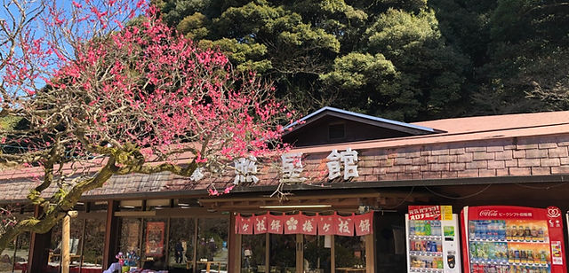 太宰府市 ニコライ・バーグマン「THE FLOWER BOX