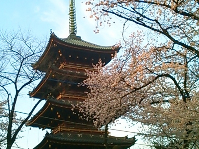 上野東照宮への交通アクセス：各線『上野駅・東京メトロ千代田線・根津駅』から神田明神-御朱印