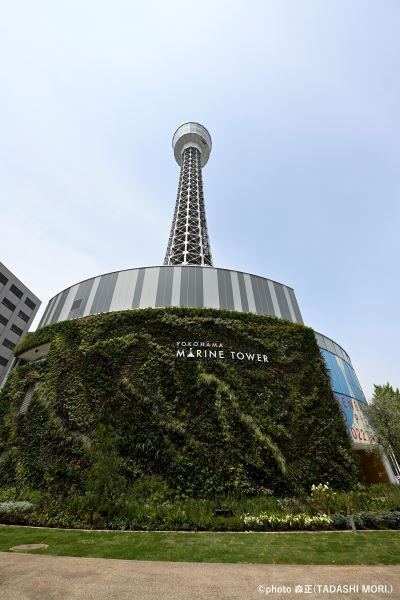 地上高「世界最高」の横浜マリンタワー灯台が半世紀の歴史に幕 - ヨコハマ経済新聞