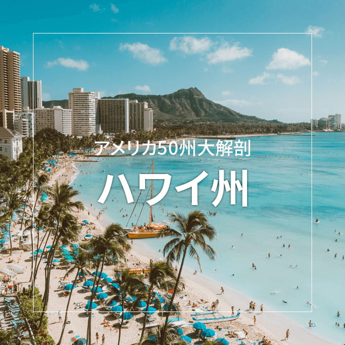 362,200点を超えるハワイのストックフォト、写真、そしてロイヤリティフリーの画像 - iStockハイビスカス, リゾート,