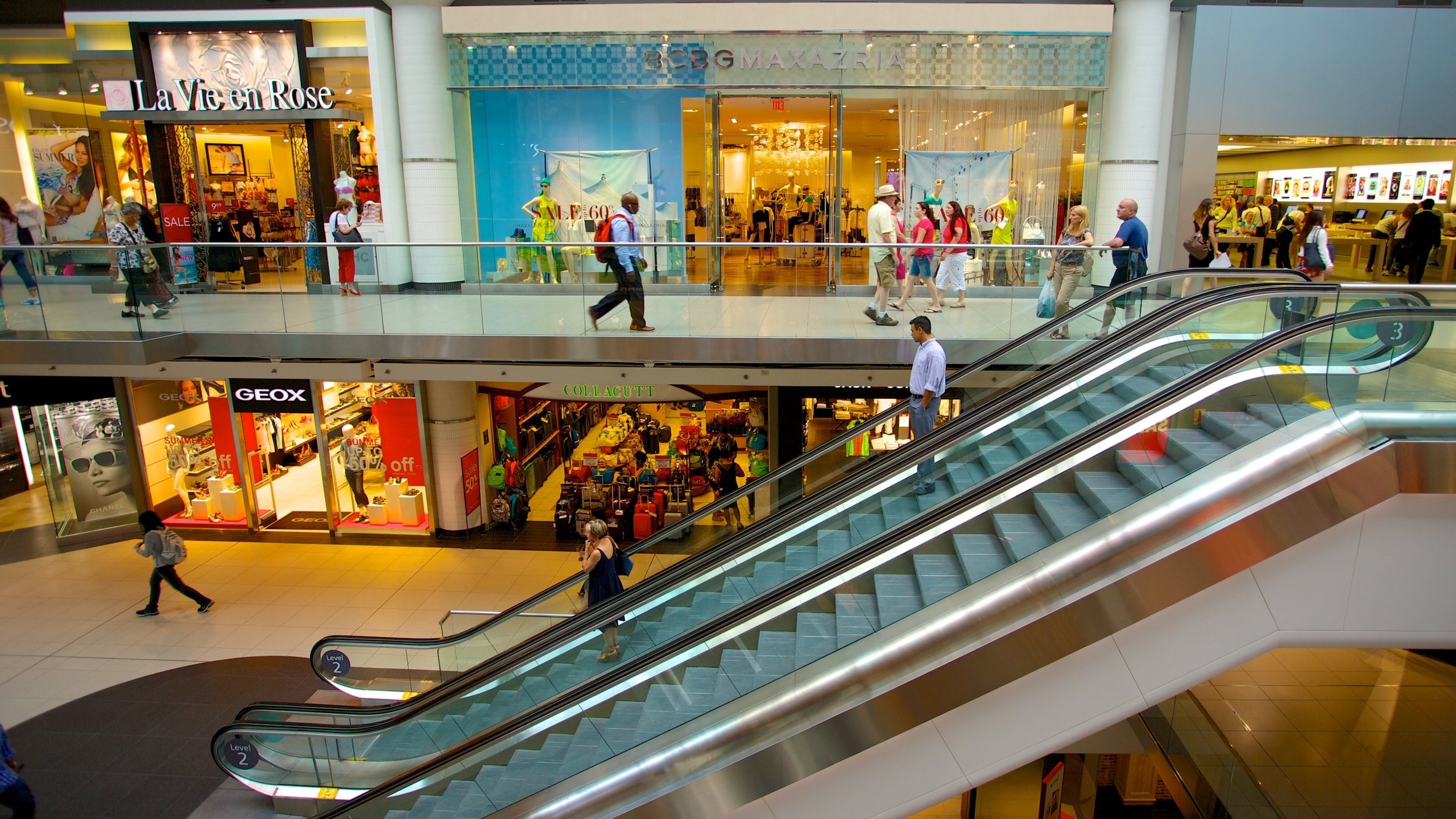 カナダ最大の都市 トロントのオススメ観光スポット８選SELMA