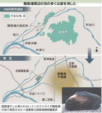 巨椋池京都府レッドデータブック2015