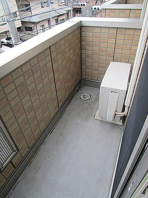 練馬区・光が丘公園 銀杏並木 黄葉の時季