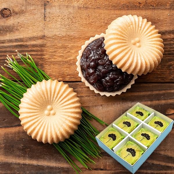 Amazon香雲堂本店 古印最中 11個入足利の伝統を味わう和菓子ノーブランド品最中 通販