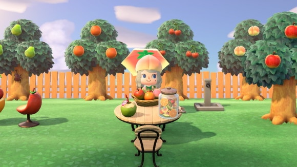 あつ森 海の近くの小さな果樹園 自然に囲まれた島Animal