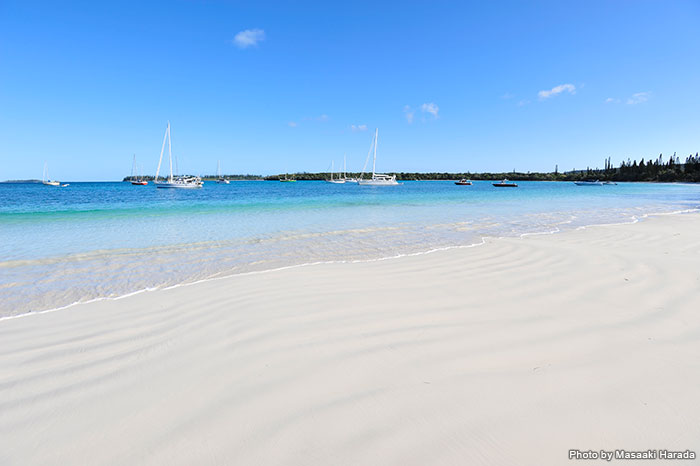 ニューカレドニア – Holidays