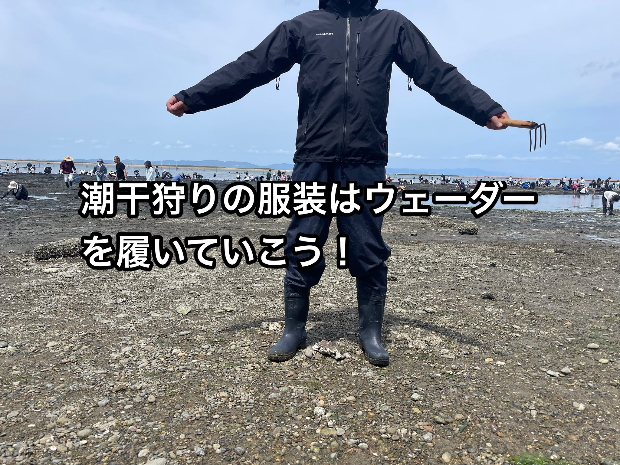 マリンシューズ アクアシューズ ウォーターシューズ レディーズ メンズ