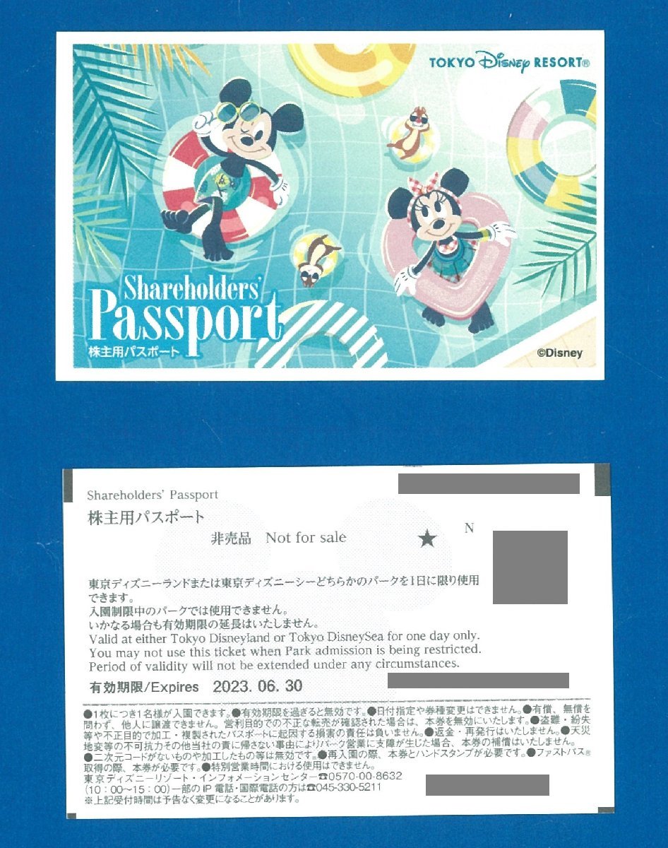 東京ディズニーリゾートの学生限定カレッジパスポート