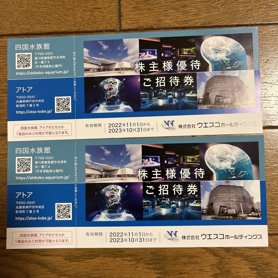 AutumnSpecial企画 水族館ウェディング Aquarium