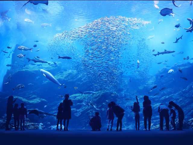 一生に一度は見たい、東北の冬の絶景を紹介！雪国ならではの自然の芸術を楽しもうびゅうトラベル JR東日本