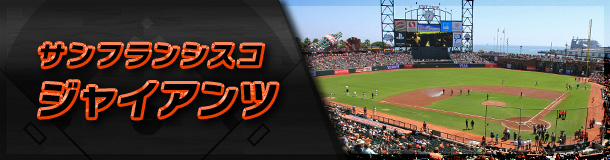 野球刑事ヤキュウデカ : 独断と偏見で選ぶボールパーク・ベスト10 『第3位』