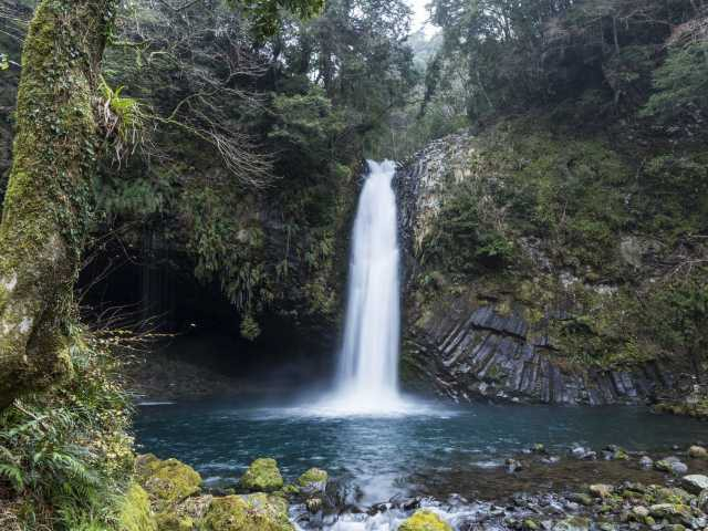 2024最新 現地スタッフ厳選！静岡県のおすすめ観光スポット35選楽天トラベル