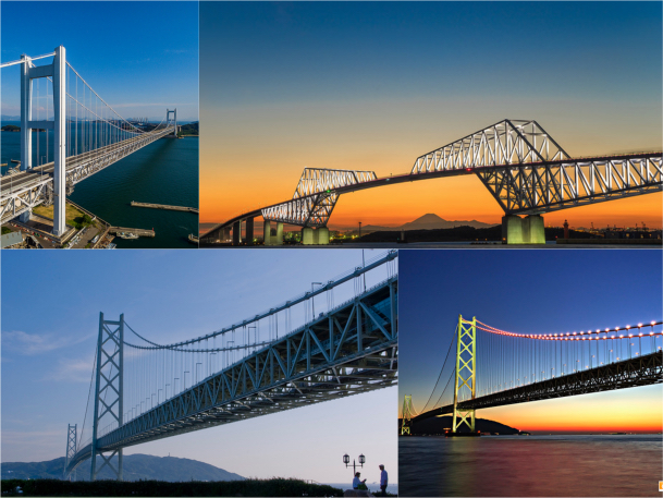 沖縄美ら海水族館＆北部周遊1日観光バスツアー日本人バスガイド同行！ 那覇・北谷・恩納村発 ラド美ら海号