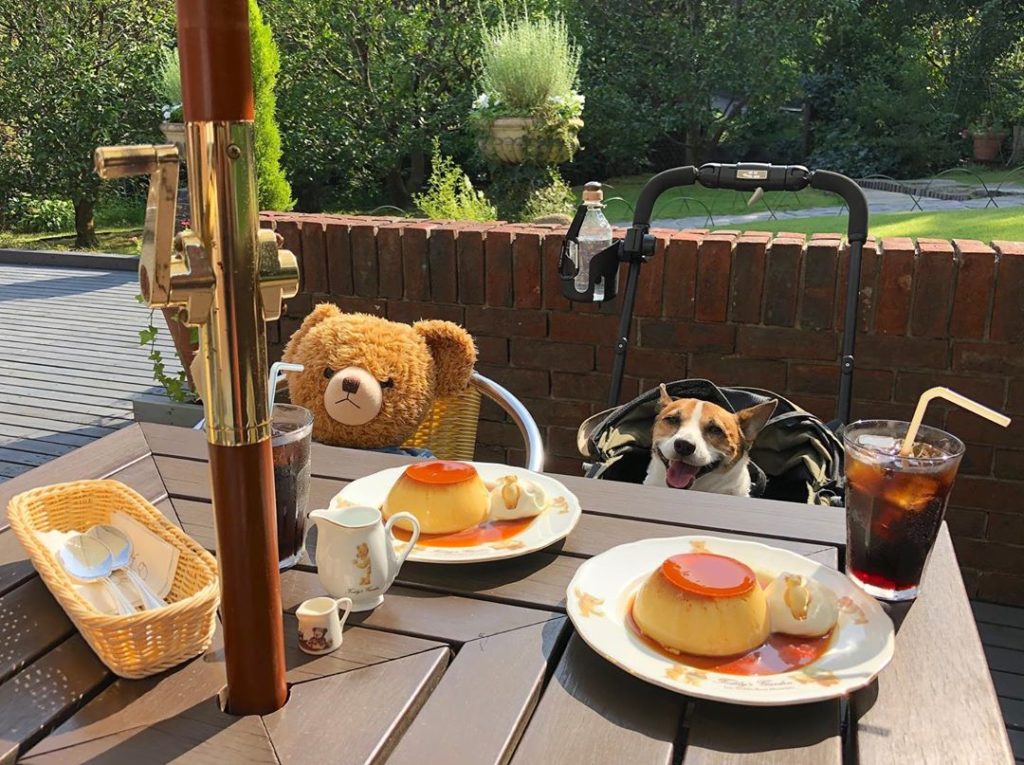 宿泊記 伊豆高原オーベルジュ ベルエキップ愛犬と過ごす、極上の温泉付きオーベルジュを徹底レポート！ -