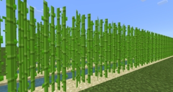 マインクラフト 統合版 観察者を使わない自動サトウキビ畑を作る