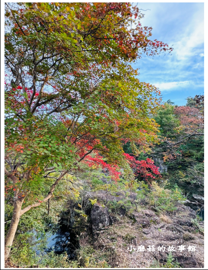 旅行養分:日本．岩手 在碧如翡翠的嚴美溪必看飛天糰子秀、必吃手工糰子、必走跨溪兩橋 附巴士時刻表、周邊景點猊鼻溪+平泉中尊寺一日遊行程推薦