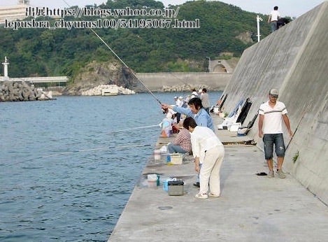 雑賀崎シーパーク 公式 和歌山の釣り堀