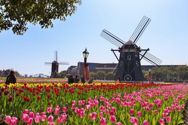 ハウステンボスってどんなとこ？アトラクション、チケット料金、行き方など徹底解説Klookブログ