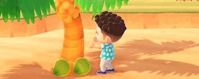 あつ森 2025年版 フルーツ 果物