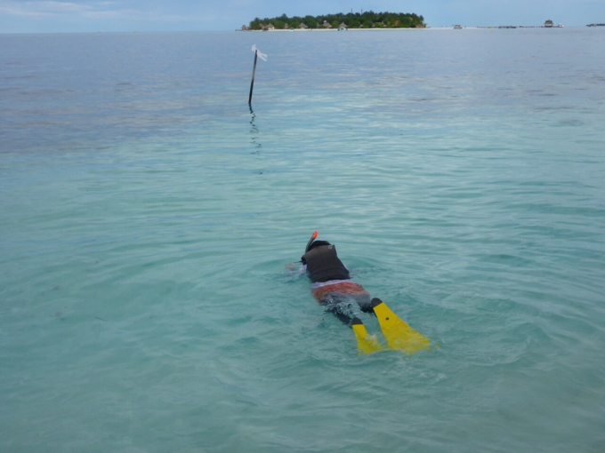 再びモルディヴへ９ シュノーケルの時の服装: リタイア夫と空の旅、海の旅、二人旅