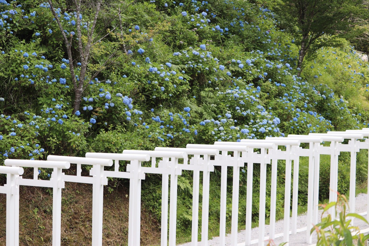 済渡寺 さいどうじ新見市観光スポットカラフル備中 岡山県