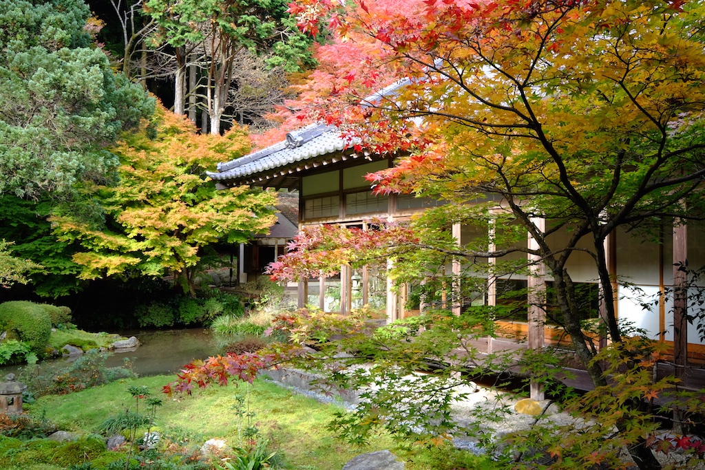 THE 紅葉 '０８ 雷山千如寺大悲王院