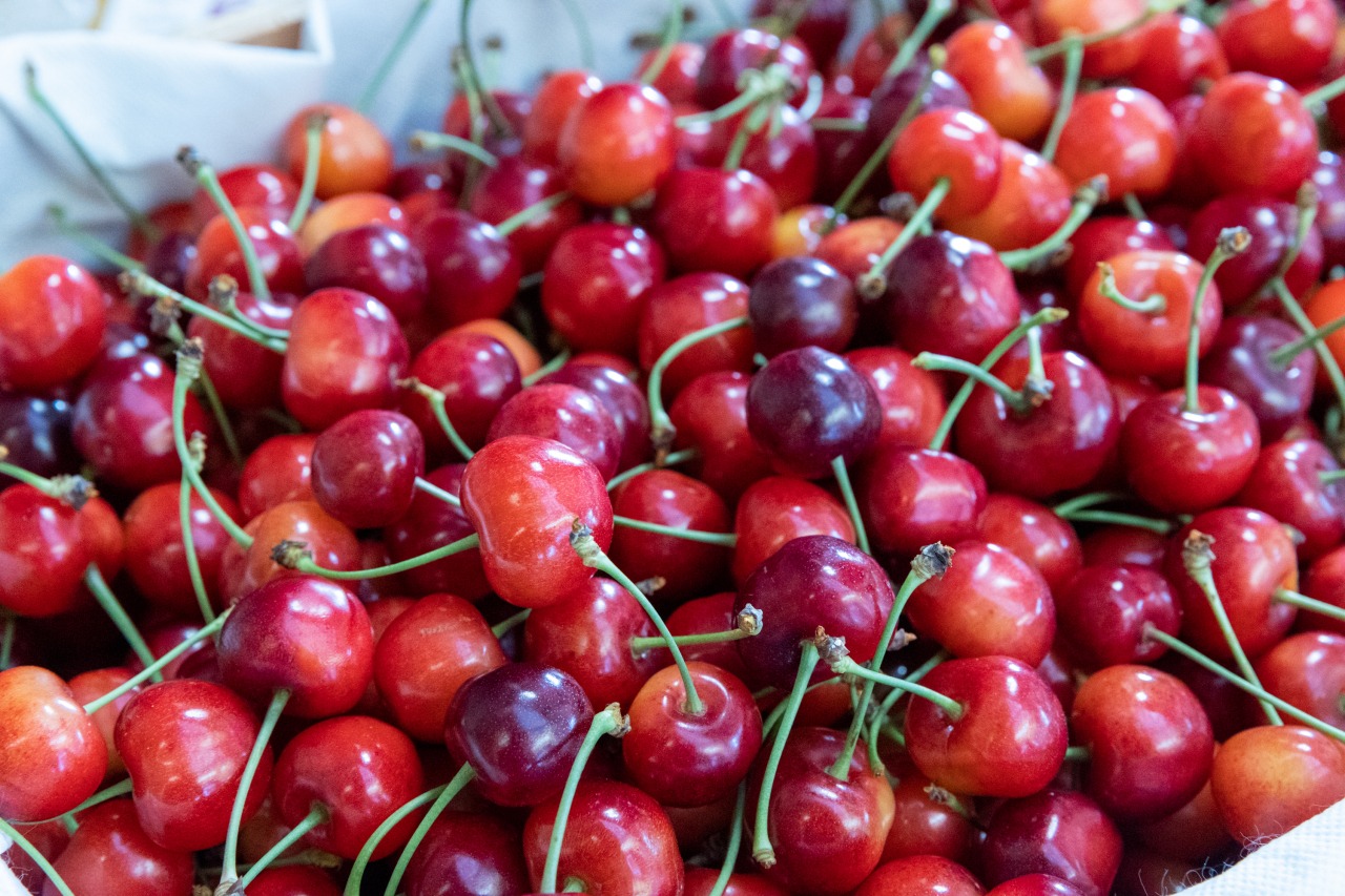 信州、のんびり街歩きとさくらんぼ狩り♪ ① 楽しみにしていた上高地だけど・』中野・小布施 長野県 の旅行記・ブログ