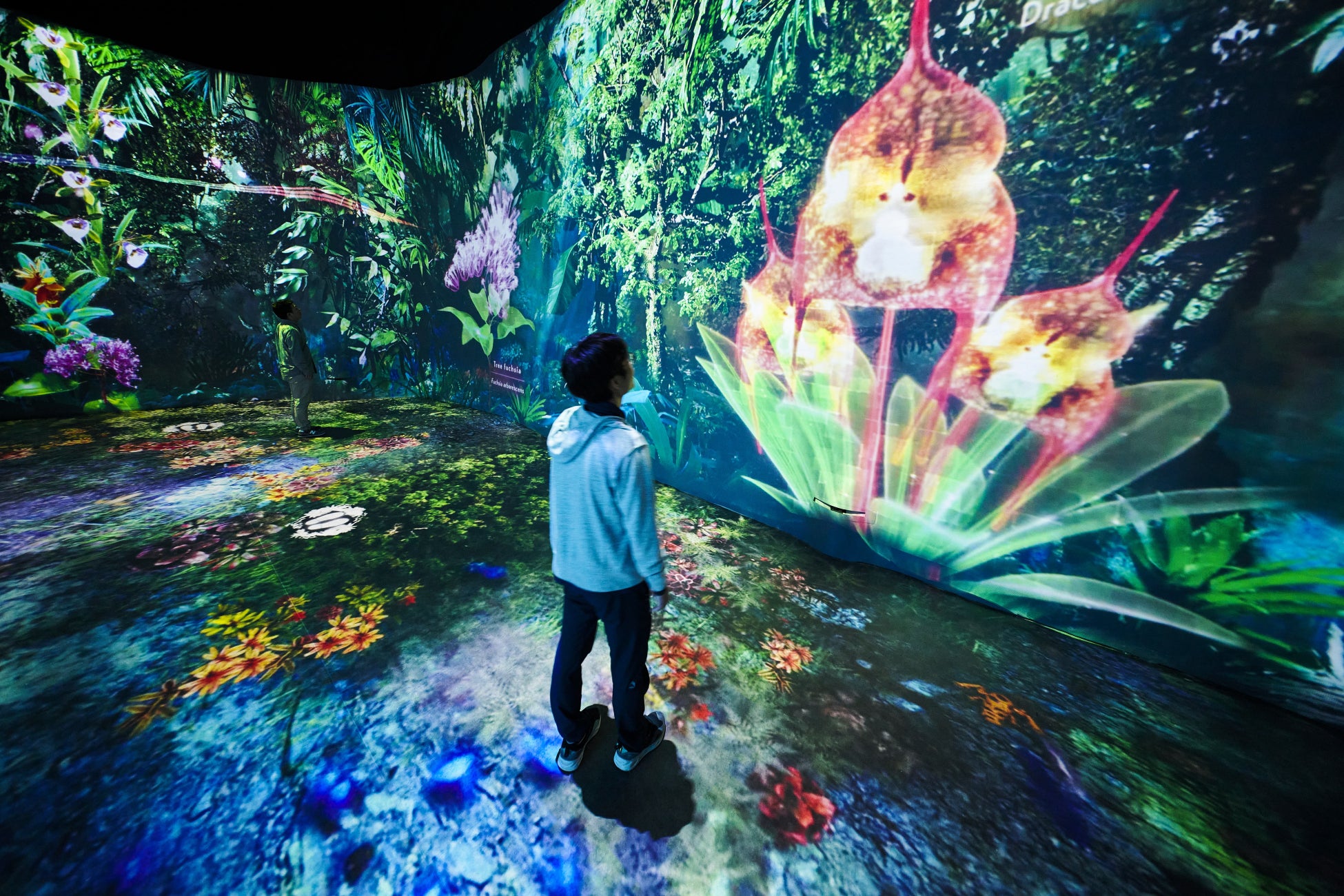 ガーデンズバイザベイ チケット シンガポールKlook