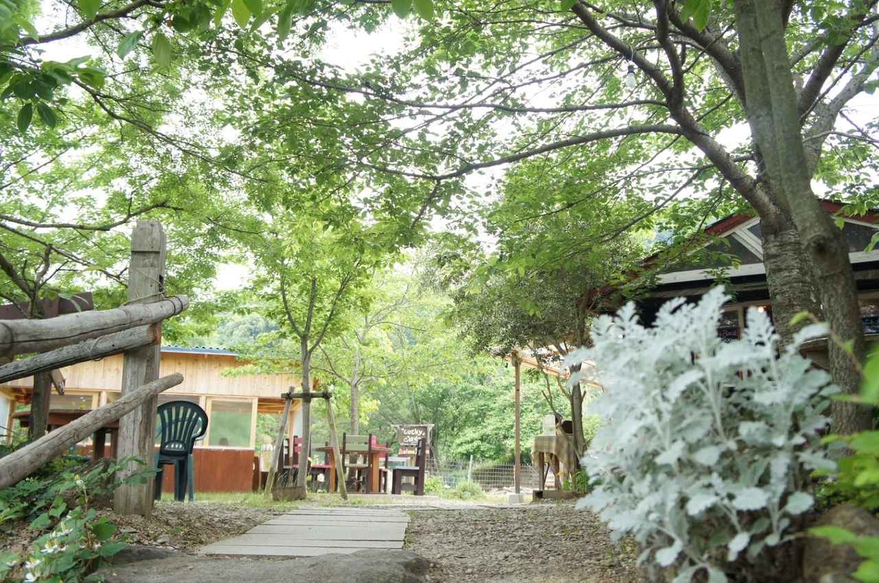 夏は奥多摩・日原鍾乳洞で日帰りツアー！東京都で探検を楽しもう楽天トラベル