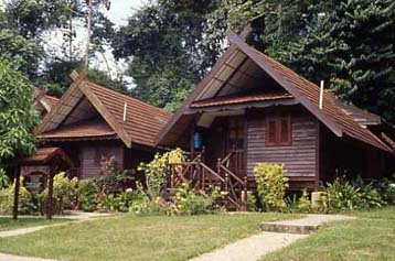 前から行ってみたかったタマンヌガラ国立公園、ついに。』タマンネガラ マレーシア の旅行記・ブログ by