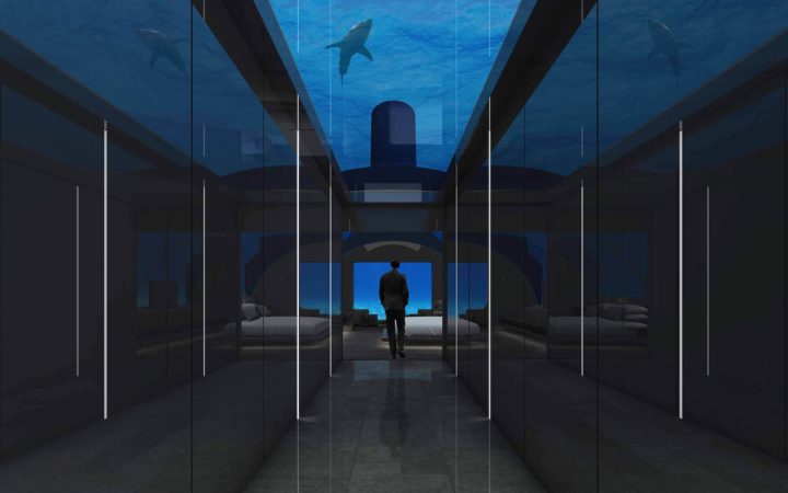 海のなかに森！？枝珊瑚とお魚が魅せる海中の楽園グルービーツアー モルディブ旅行の老舗専門店