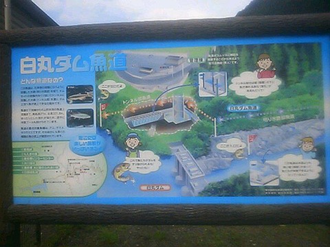 魚専用の道路「魚道」が見どころ、東京都奥多摩にある「白丸調整池 白丸ダム」の内部に潜入！はうやし報告記 仮