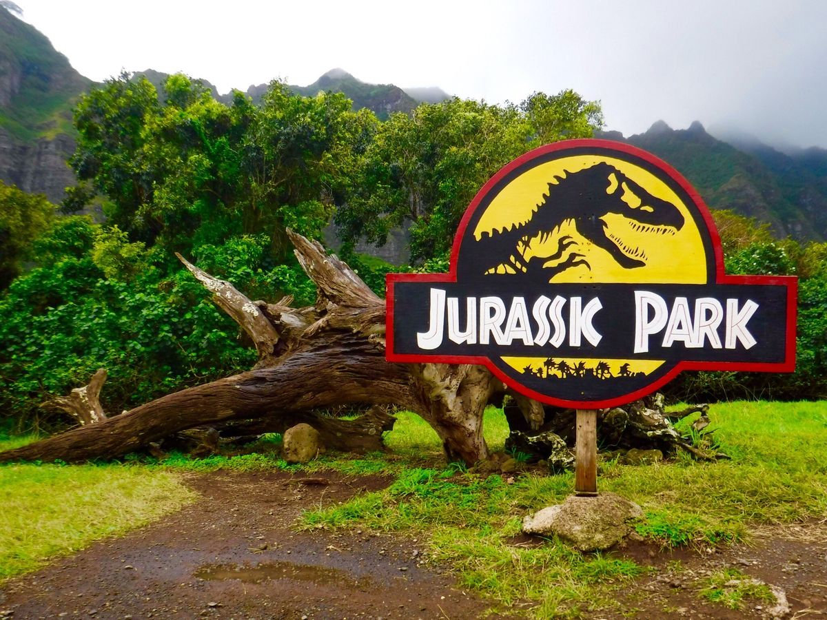 7 21～9 4限定 クアロアランチ