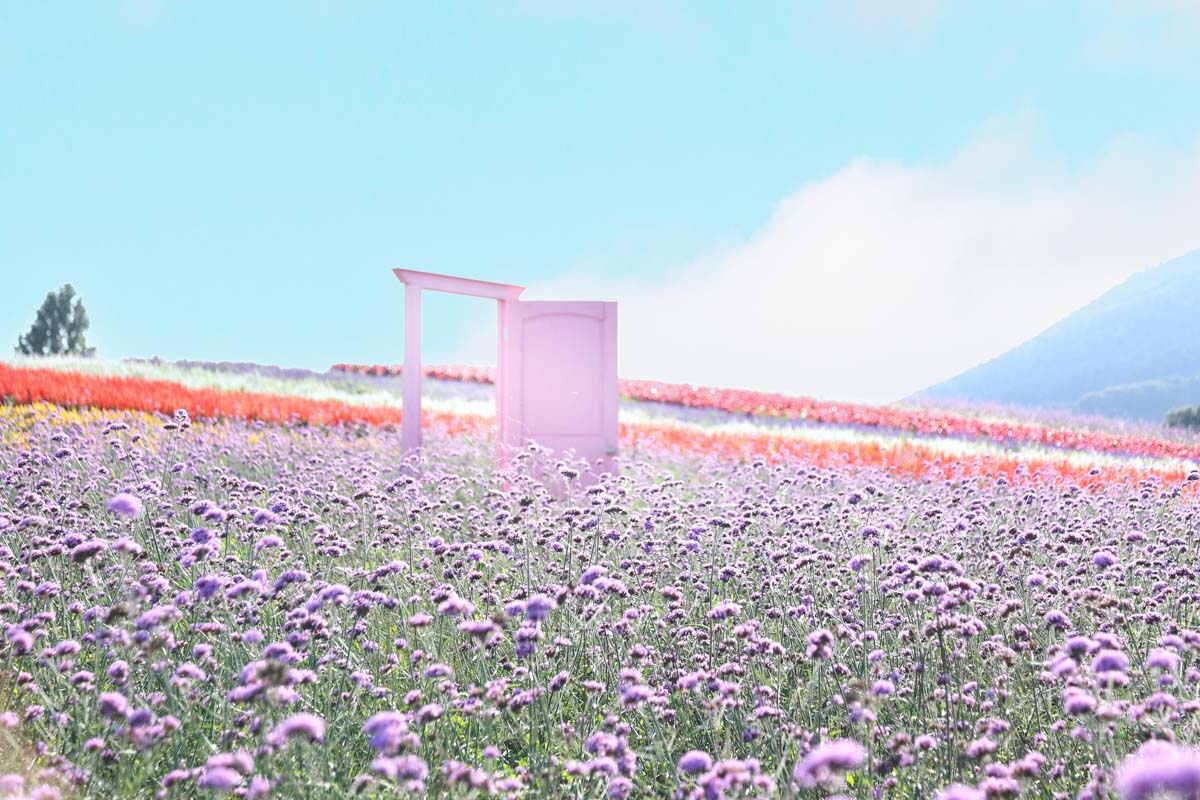 アクアの仙台港・ソロ撮影📸・宮城でオススメな撮影スポット無いかなぁ？🤔・鬼桃とコラボ 楽しみ🥰・前回の投稿に沢山の👍💬ありがとうございました🤗に関するカスタム事例車のカスタム情報はCARTUNE