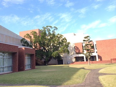 椛琳武雄市文化会館店 ホームメイト