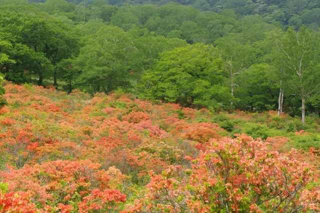 赤城山大沼ライブカメラより 赤城山は今日も雪⛄️です😖՞ ՞